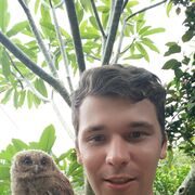 ���������� ������, ���� ������� �������, 36 ���, ������������ ��� ������, ����� � ���������, c�������� ���������, ���������