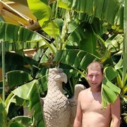 ���������� ��������, ���� ������� SlavDol, 39 ���, ������������ ��� ������, ����� � ���������, ���������