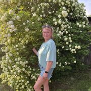 ���������� �����������, ���� ������� �����, 55 ���, ������������ ��� ����� � ���������, c�������� ���������