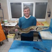  ,   , 40 ,   c , 