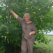 ���������� ������, ���� ������� �����, 67 ���, ������������ ��� ����� � ���������, c�������� ���������