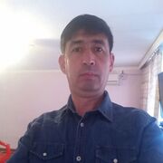  Korfez,  , 43