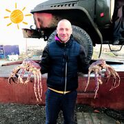 ���������� �������������-����������, ���� ������� �����, 35 ���, ������������ ��� ������, ����� � ���������, c�������� ���������