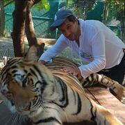 ���������� �������, ���� ������� ���������, 44 ����, ������������ ��� ������, ����� � ���������, ���������