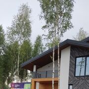 ���������� ������, ���� ������� ����, 46 ���, ������������ ��� ������, ����� � ���������