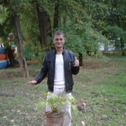  ,   Vladimer, 41 ,   ,   , c 