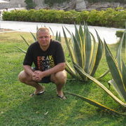 ���������� �������, ���� ������� ���e�, 49 ���, ������������ ��� ������