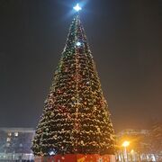 ���������� �������, ���� ������� �����, 48 ���, ������������ ��� c�������� ���������