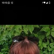  ,  , 34