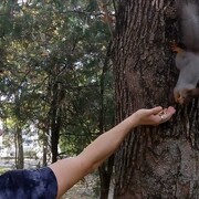 ���������� ������, ���� ������� ����, 30 ���, ������������ ��� ����� � ���������, c�������� ���������