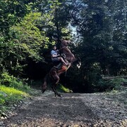 ���������� ����, ���� ������� ������, 26 ���, ������������ ��� ������, ����� � ���������