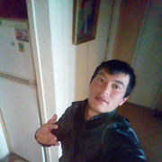  -,   SHOXRU, 31 ,   ,   , c 