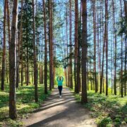 ���������� ���, ���� ������� �����, 54 ����, ������������ ��� c�������� ���������, ���������