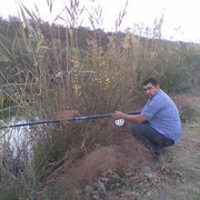  ,   050 3807086, 43 ,   