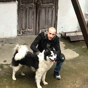 ���������� ������, ���� ������� Giorgi, 32 ����, ������������ ��� ������, ����� � ���������, c�������� ���������