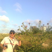 ���������� ����, ���� ������� ���������, 49 ���, ������������ ��� ������, ����� � ���������, c�������� ���������