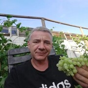  ,   , 50 ,   ,   