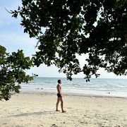 ���������� ������, ���� ������� ����, 30 ���, ������������ ��� ������, ����� � ���������