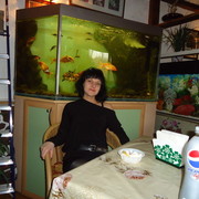  ,   , 37 ,     , c 