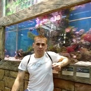  ,   , 41 ,   