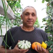 ,   , 61 ,   ,   , c , 