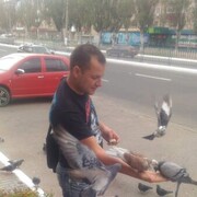  ,   , 47 ,     , c , 