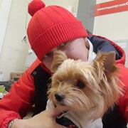 ���������� ���������, ���� ������� �����, 38 ���, ������������ ��� c�������� ���������