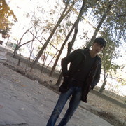  ,   Elaman, 33 ,   