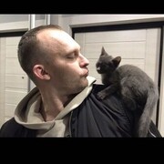 ���������� �����, ���� ������� ����, 32 ����, ������������ ��� ������, ����� � ���������, c�������� ���������, ���������