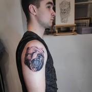 ���������� �����, ���� ������� Tony, 29 ���, ������������ ��� ������