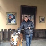 ���������� �����������, ���� ������� �������, 41 ���, ������������ ��� ������, ����� � ���������, c�������� ���������