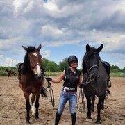 ���������� �����-���������, ���� ������� �����, 50 ���, ������������ ��� ������, ����� � ���������