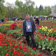 ���������� ������, ���� ������� �����, 38 ���, ������������ ��� ������, ����� � ���������, c�������� ���������