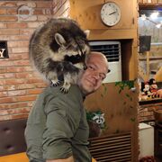 ���������� �����������, ���� ������� �������, 37 ���, ������������ ��� ������, ����� � ���������, c�������� ���������, ���������