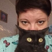 ���������� ���������, ���� ������� ����, 39 ���, ������������ ��� ����� � ���������, c�������� ���������, ���������