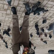 ���������� ��������, ���� ������� ������, 42 ����, ������������ ��� ������, ����� � ���������