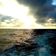 ���������� ����������, ���� ������� ������, 31 ���, ������������ ��� ������, ����� � ���������, c�������� ���������