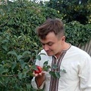   ,   , 50 ,   , 