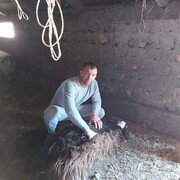  ,   , 39 ,   ,   , c , 