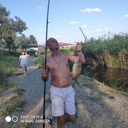  ,   Alexander, 41 ,   ,   , c , 