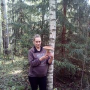   ,   , 41 ,   ,   , c 