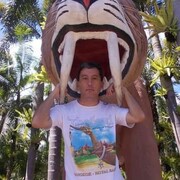 ���������� �������, ������� ����, 43