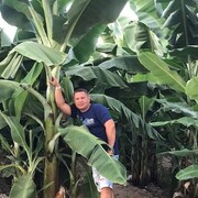 ���������� ������, ���� ������� ������, 43 ����, ������������ ��� ����� � ���������, c�������� ���������