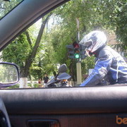 ���������� �����, ���� ������� �����, 33 ����, ������������ ��� ������