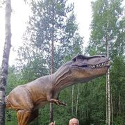 ���������� ������, ������� ������, 62