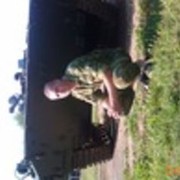  ,   , 34 ,     , c 