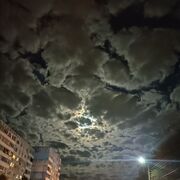  ,   , 18 ,   ,   