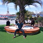  ,   , 40 ,   ,   , 