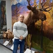 ���������� ���������, ���� ������� �������, 49 ���, ������������ ��� c�������� ���������