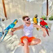 ���������� �������, ���� ������� ����, 36 ���, ������������ ��� ������, ����� � ���������, c�������� ���������